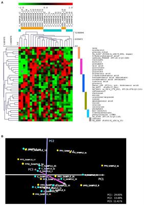 Metabolic Profiling Indicates Diversity in the Metabolic Physiologies Associated With Maternal Postpartum Depressive Symptoms